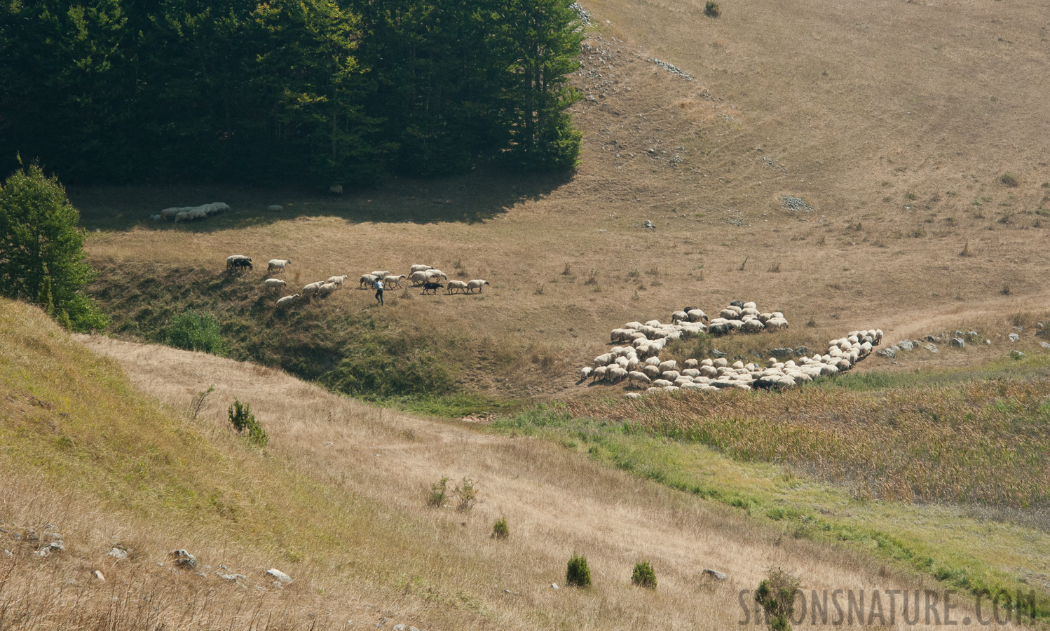 Montenegro - In der Region des Durmitormassivs [145 mm, 1/400 Sek. bei f / 14, ISO 1600]